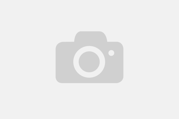 Курс обучения: 